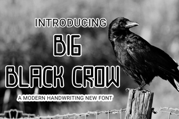 Big Black Crow: A Friendly Display Font for Digital Brands