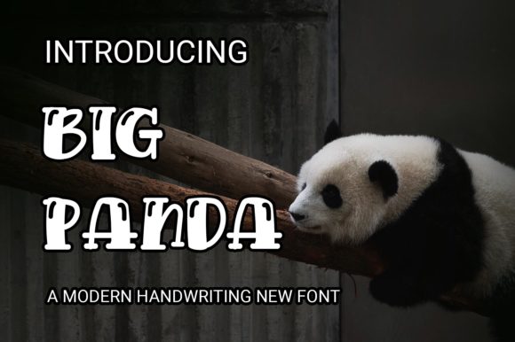 Big Panda: A Display Font That Makes Your Brand Feel Instantly Polished
